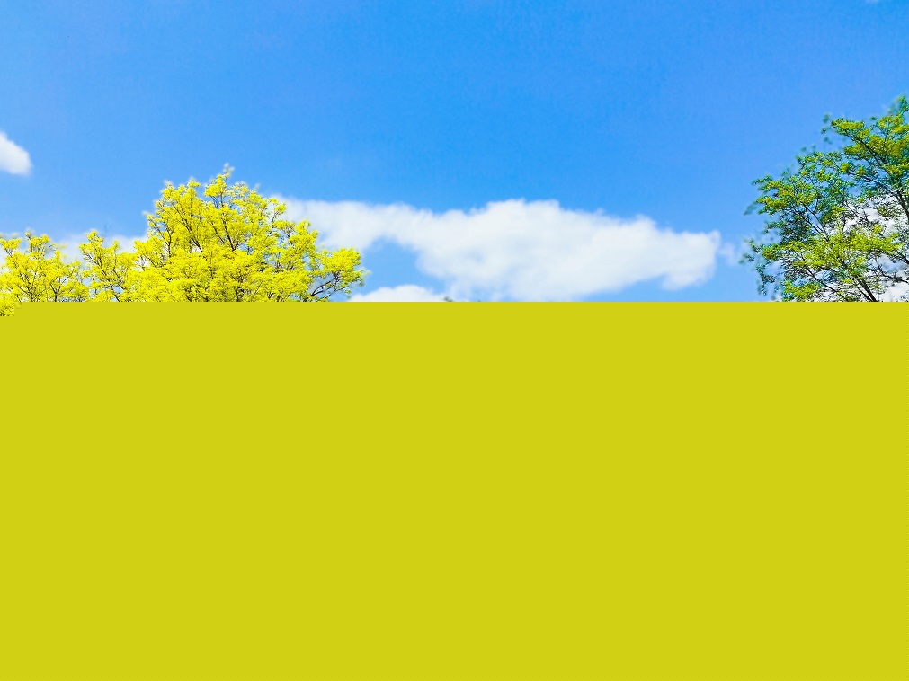 01一工A 大美豪邁.jpg